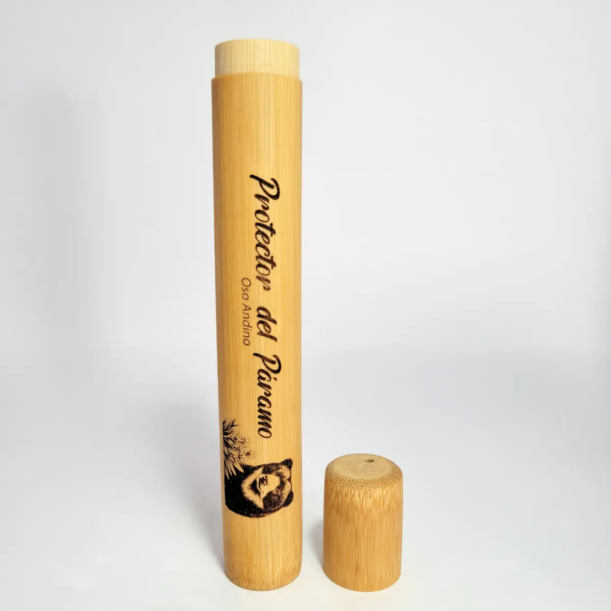 Porta cepillo personalizado oso