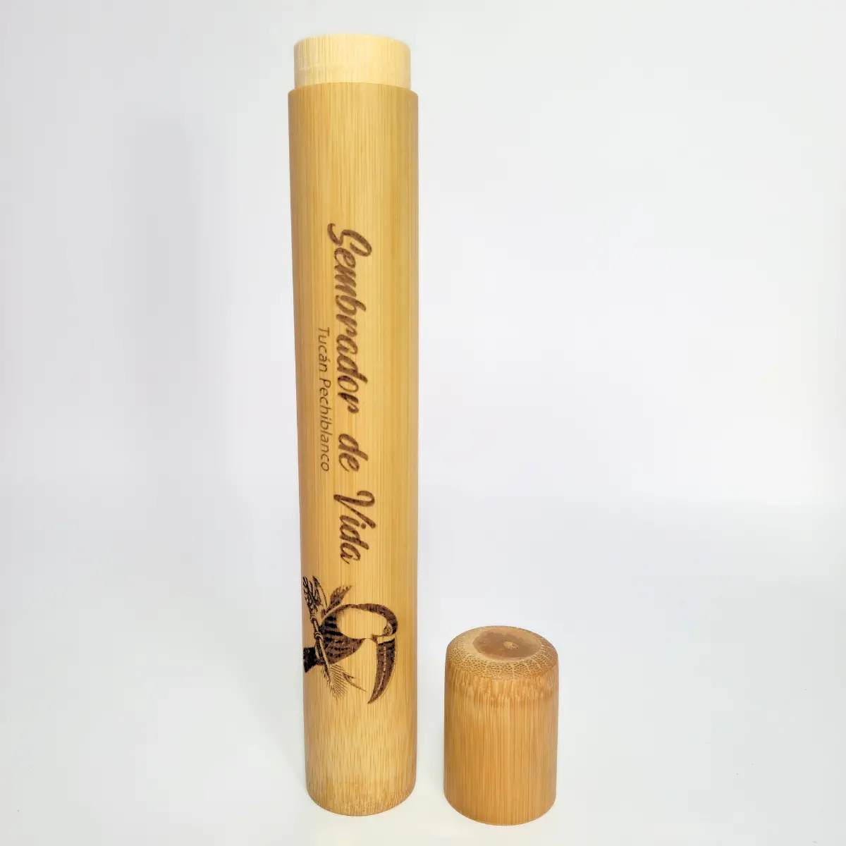 Porta cepillo personalizado tucan