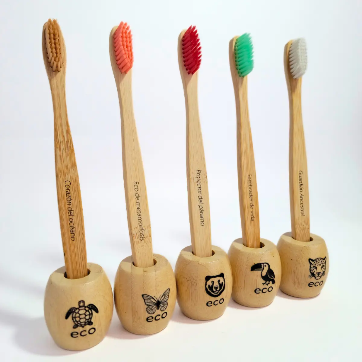 kit cepillos clasicos con soporte ecologicos