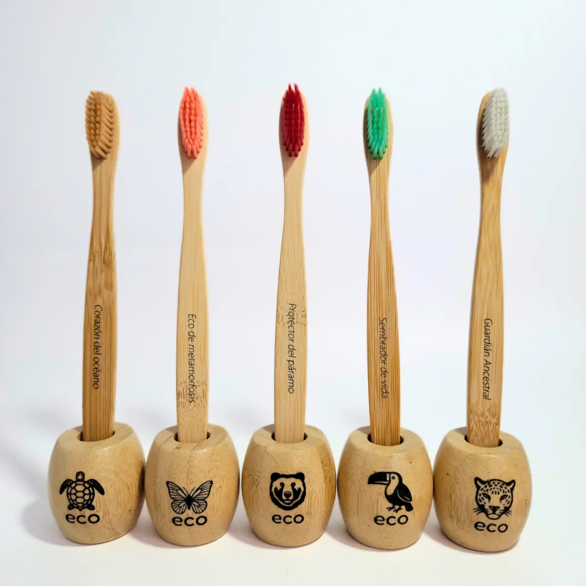 kit cepillos clasicos con soporte