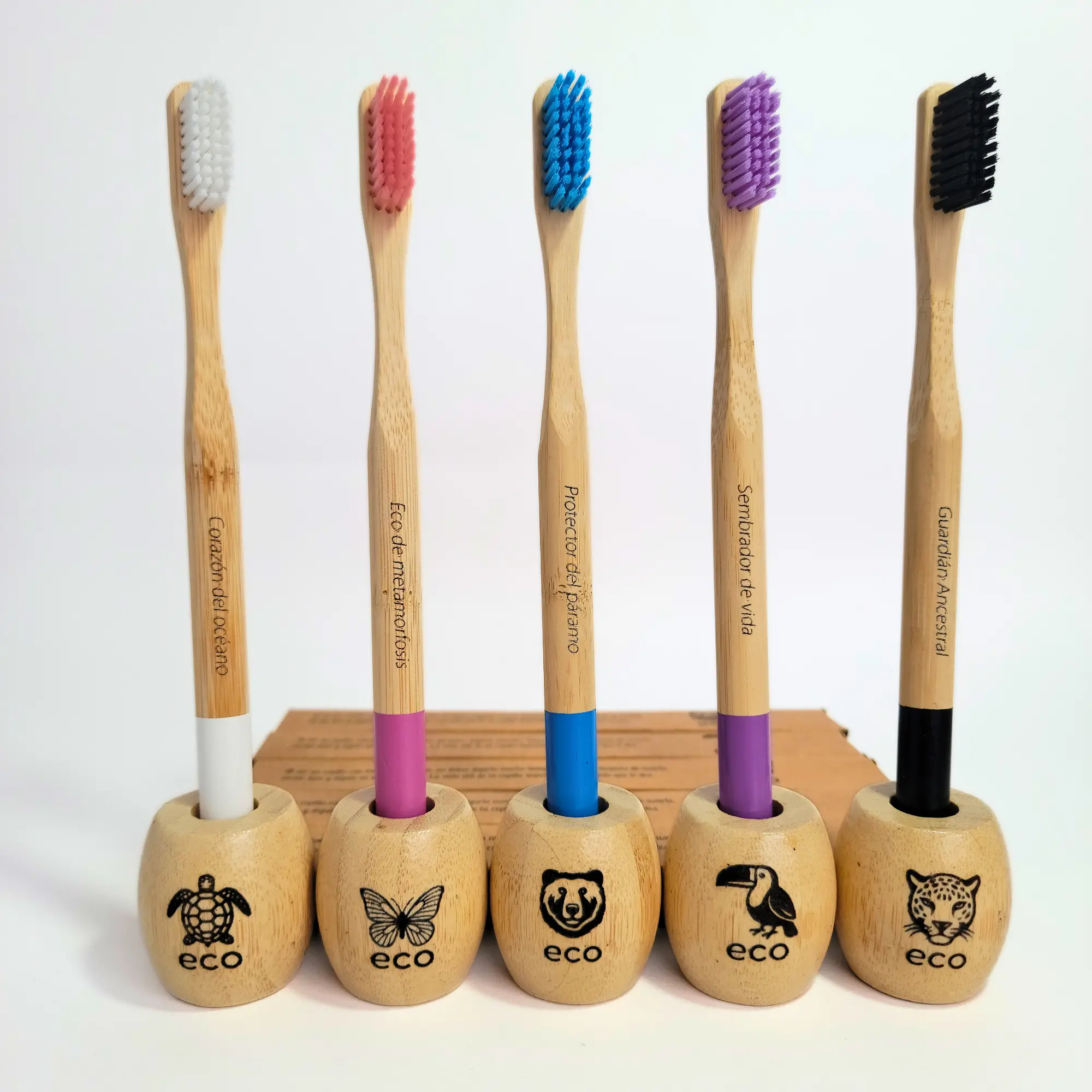 kit cepillos y soportes eco biodegradables