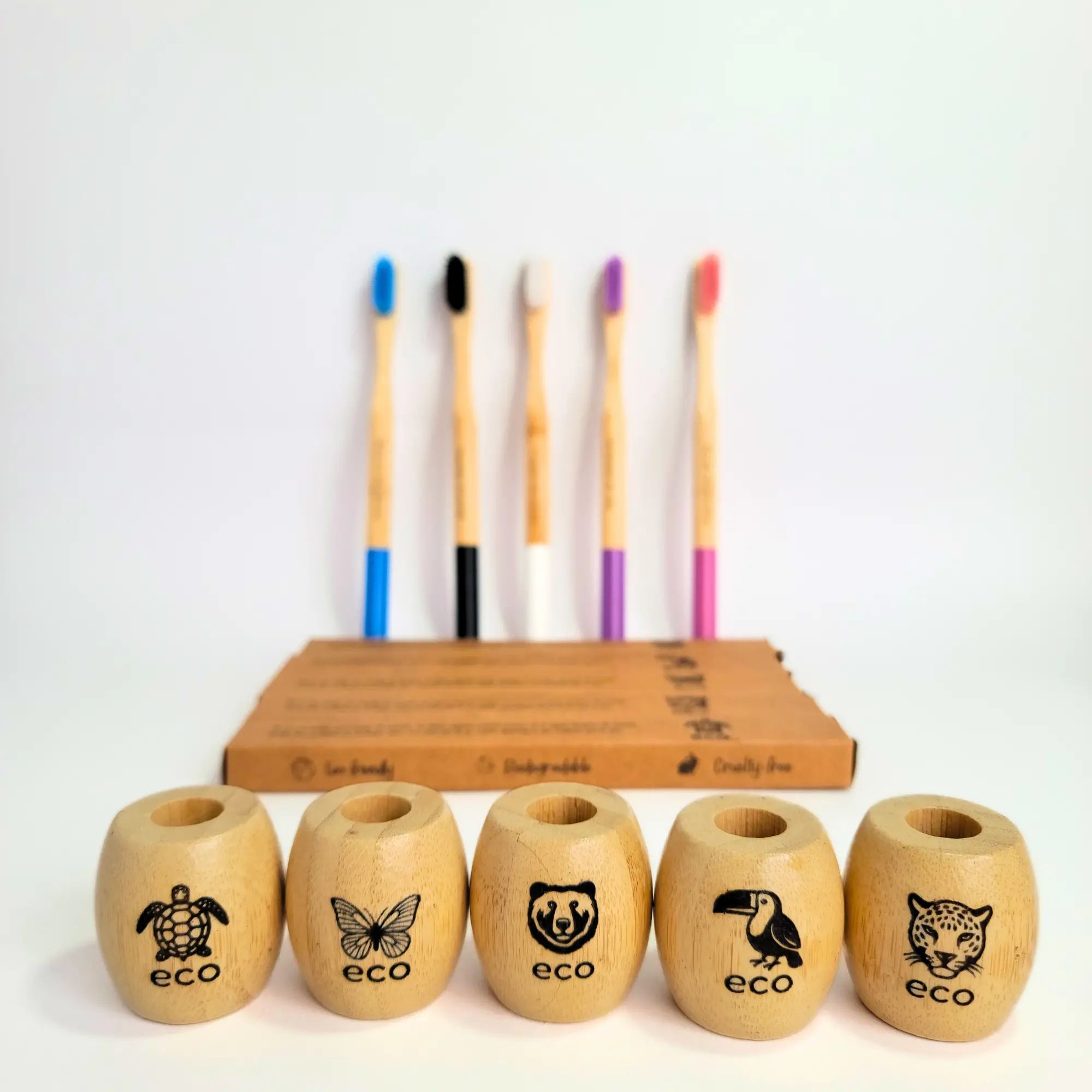 kit cepillos y soportes eco